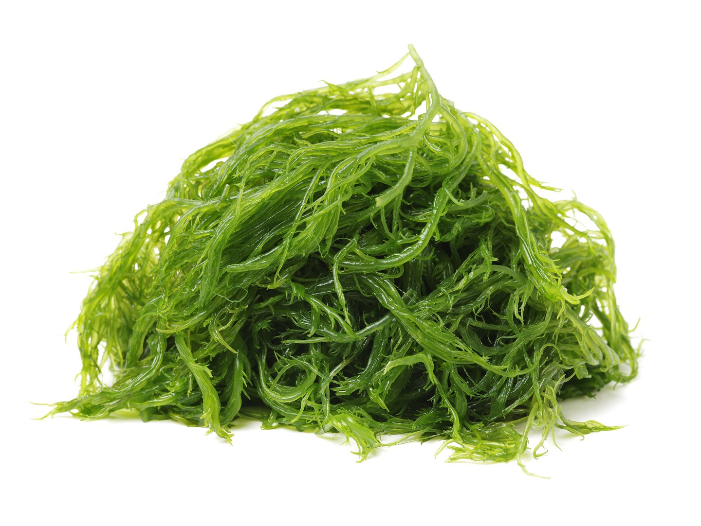 Which seaweed is edible online